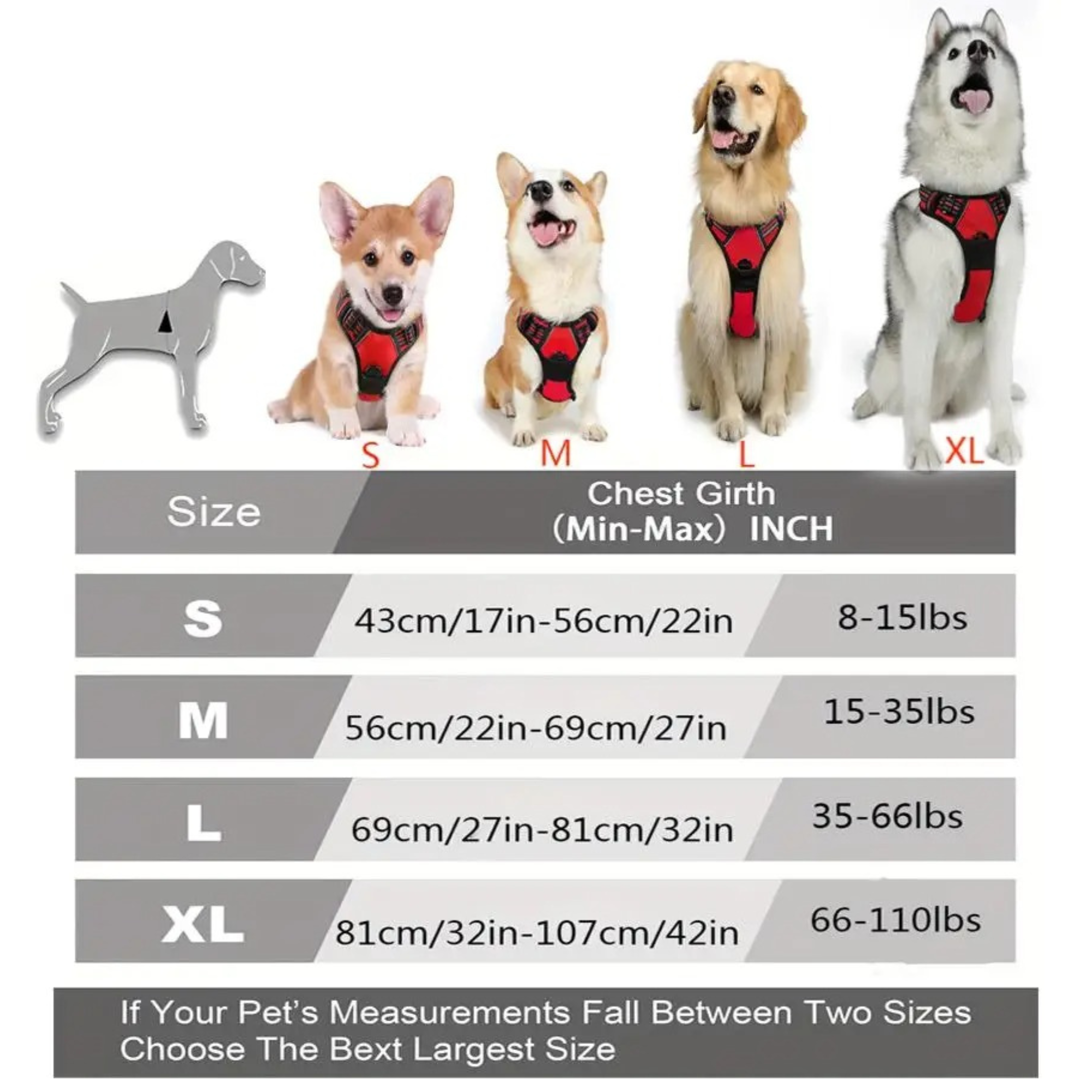 Pet Leather Collar, Harness & Leash – For Small and Medium Dogs